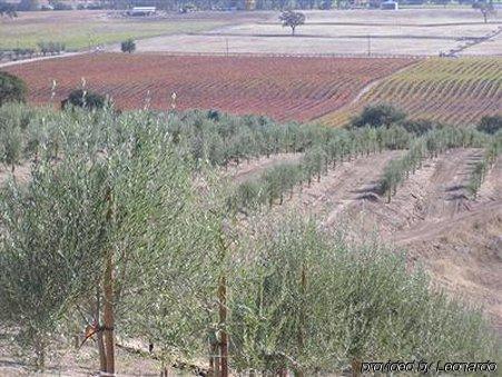 Alta Cresta Orchard & Inn Paso Robles Bekvämligheter bild